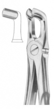  Fig. 76A lower third molars 